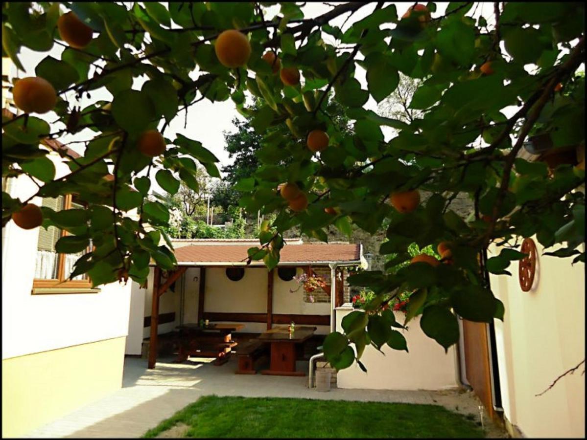Penzion Réva Valtice Exterior foto